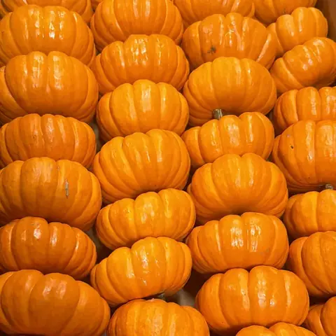 Calabazas mini naranjas