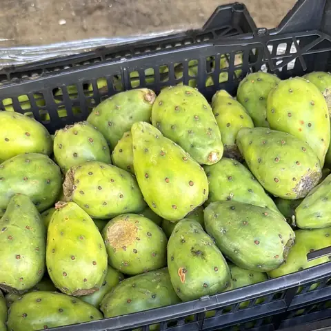 Tunas verdes